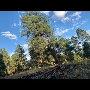 Meet your Posher, Mollee